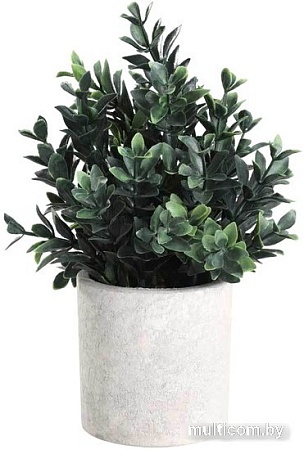 Искусственное растение Eglo Chitose 428028 (пластик, коричневый/зеленый)