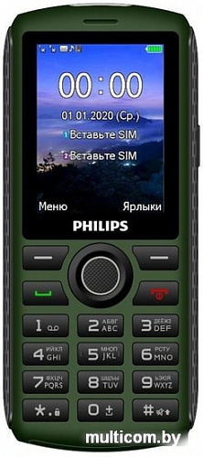 Мобильный телефон Philips Xenium E218 (зеленый)