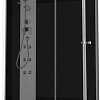 Душевая кабина Domani-Spa Delight 128 120x80 L с гидромассажем (черный/тонированное)