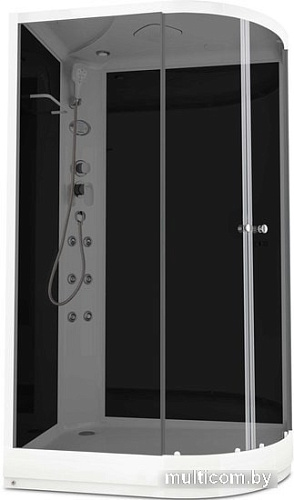 Душевая кабина Domani-Spa Delight 128 120x80 L с гидромассажем (черный/тонированное)