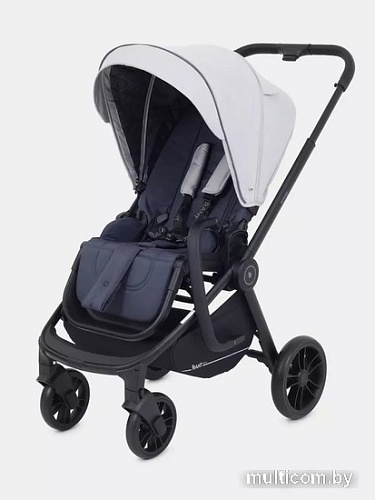 Универсальная коляска Rant Energy Basic RA091 (2 в 1, серый)