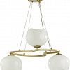 Подвесная люстра Odeon Light Waterlily 4873/3