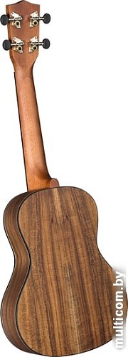 Укулеле Diamond Head DU-350C
