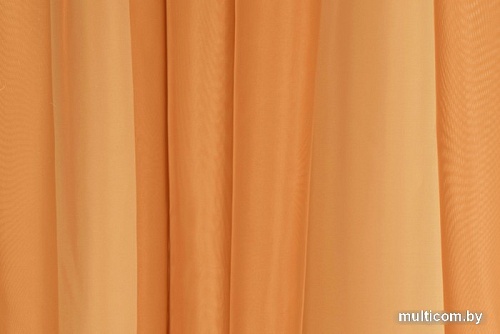 Комплект гардин Delfa Voile СТШ/Д-050 Voile/8819 2x2.5 м (мандарин, 2 шт)