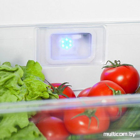 Холодильник BEKO CNMV5310EC0W