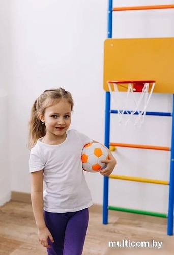 Баскетбольный щит Rokids для шведской стенки 29.5 см