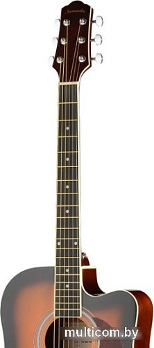 Акустическая гитара Naranda DG120CBS