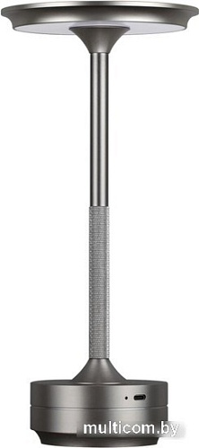 Настольная лампа Odeon Light Tet-A-Tet 5035/6TL