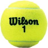 Мяч Wilson Championship Extra Duty WRT100101 (3 шт)