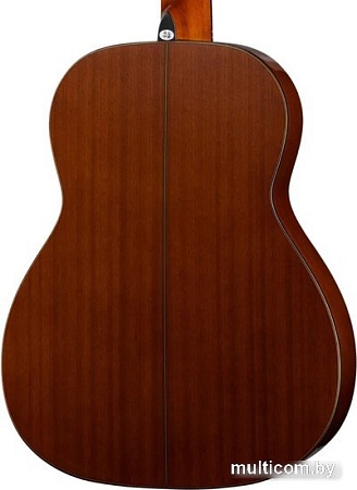 Акустическая гитара Naranda CG320-4/4