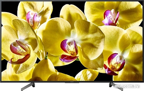 Телевизор Sony KD-55XG8096