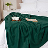 Плед Casa Conforte London Basic 130x165 6155337 (зеленый)