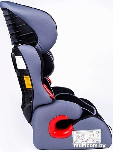 Детское автокресло Amarobaby Big trip AB212006BTChS/09 (черный/серый)