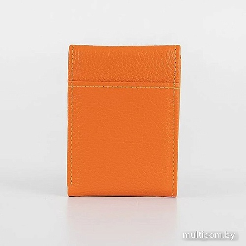 Портмоне Poshete 604-120M-ORN (оранжевый)