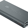 Портативное зарядное устройство Canyon CNE-CPBF100DG