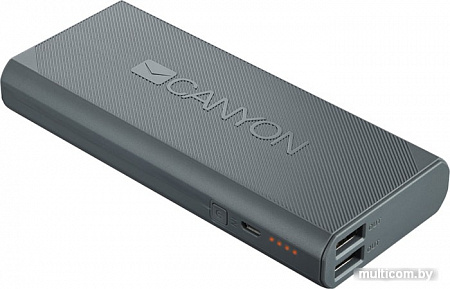 Портативное зарядное устройство Canyon CNE-CPBF100DG