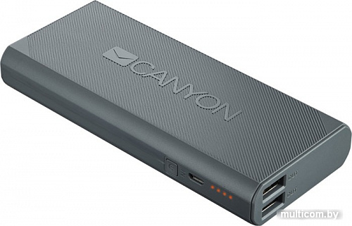 Портативное зарядное устройство Canyon CNE-CPBF100DG