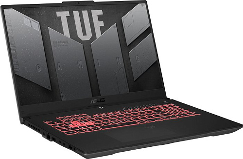 Игровой ноутбук ASUS TUF Gaming A17 FA707RM-HX020