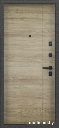 Torex Tau LT PP3 (86x205, правая)