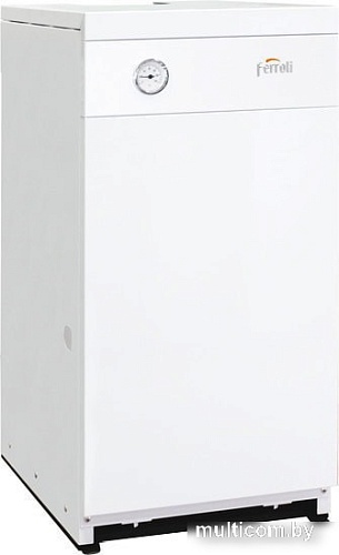 Отопительный котел Ferroli Torino Classic 20 0QN104YA