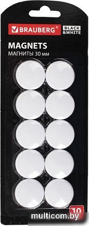 Набор магнитов BRAUBERG Black&White 237467 (10шт)