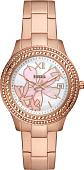 Наручные часы Fossil Stella ES5192