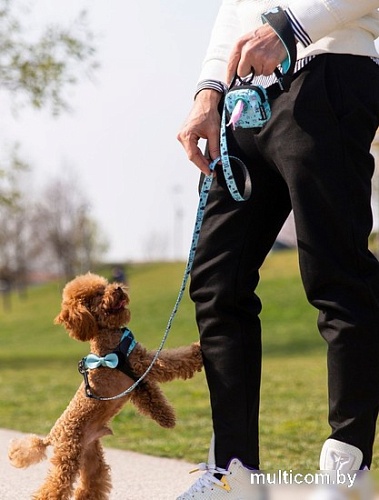 Поводок United Pets Complete Me 2 (S, writing)