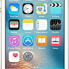 Смартфон Apple iPhone SE 64GB Gold