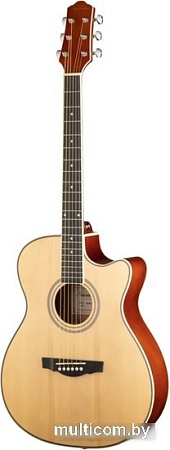 Акустическая гитара Naranda TG220CNA