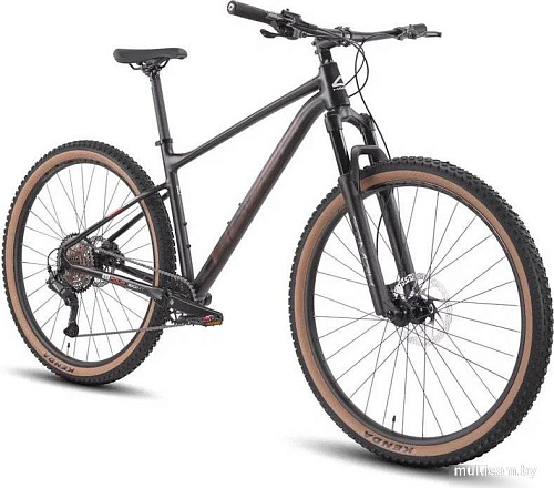 Велосипед Hagen 4.8 29 XXL 2025 (тяжелый металл)