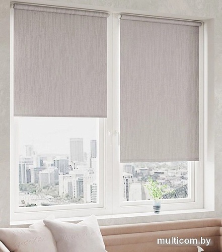 Рулонные шторы Legrand Сидней 47x175 58103837 (муссон)