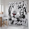 Шторка-занавеска для ванны JoyArty Белый тигр sc_12734