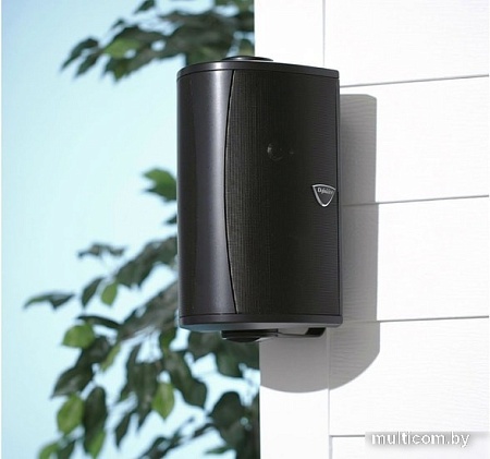Акустика Definitive Technology AW6500 (черный)