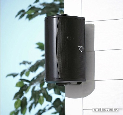 Акустика Definitive Technology AW6500 (черный)