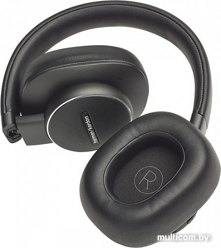 Наушники Harman/Kardon Fly ANC