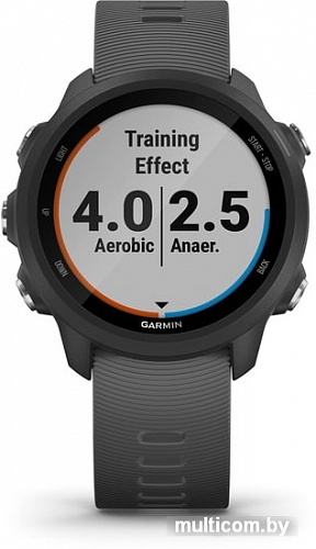 Умные часы Garmin Forerunner 245 (серый)