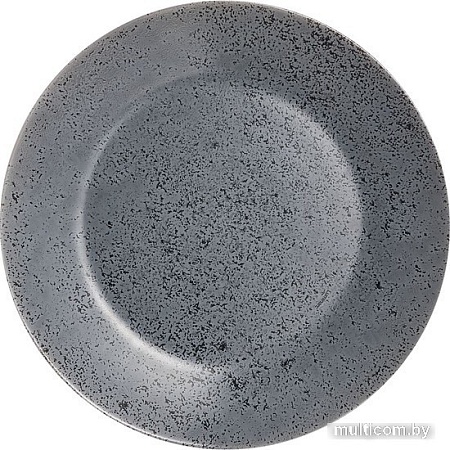 Тарелка обеденная Luminarc Slate 10V0115
