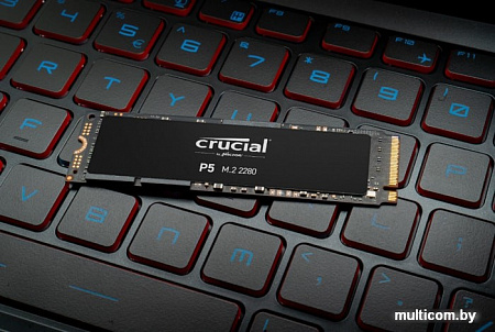 SSD Crucial P5 250GB CT250P5SSD8