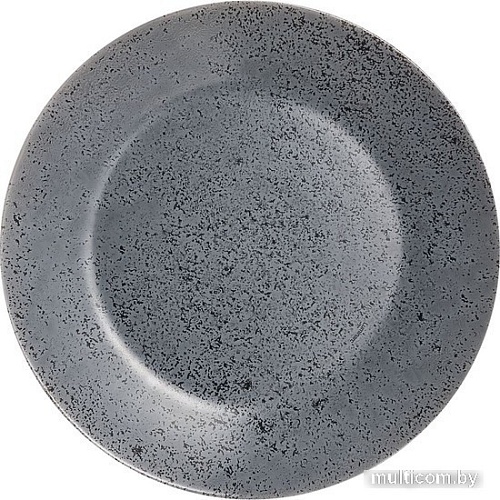 Тарелка обеденная Luminarc Slate 10V0115