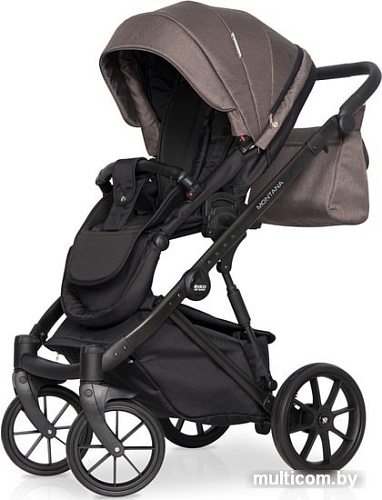 Универсальная коляска Riko Montana (3 в 1, 01)