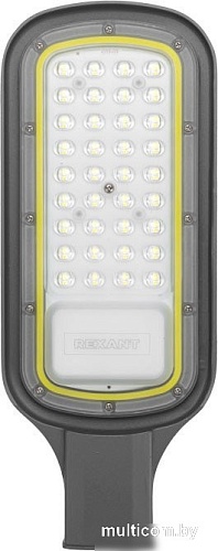 Садовый светильник Rexant ДКУ 03-50-5000К-Ш-C 607-307