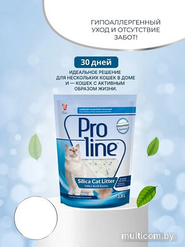 Наполнитель для туалета Proline Silica Unscented без запаха 3.8 л