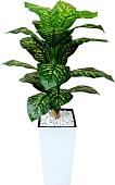 Искусственное растение Forgarden Диффенбахия пестролистная BN11134