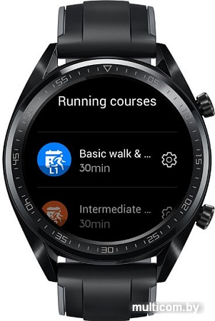Умные часы Huawei Watch GT FTN-B19 (стальной черный)