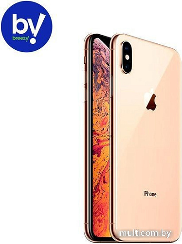 Apple iPhone XS 256GB Восстановленный by Breezy, грейд B (золотистый)