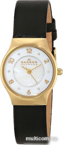Наручные часы Skagen SKW2209