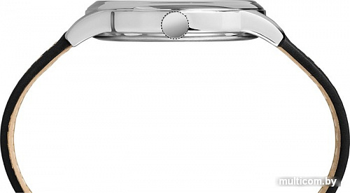 Наручные часы Timex TW2R22800