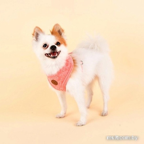 Шлейка Pinkaholic Polina NASD-HA7506-HP-S (розовый)