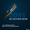 Оперативная память Crucial 16ГБ DDR5 5600 МГц CT16G56C46U5T