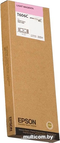 Картридж Epson C13T606C00